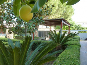 Гостиница Villa Alfano  Поццалло